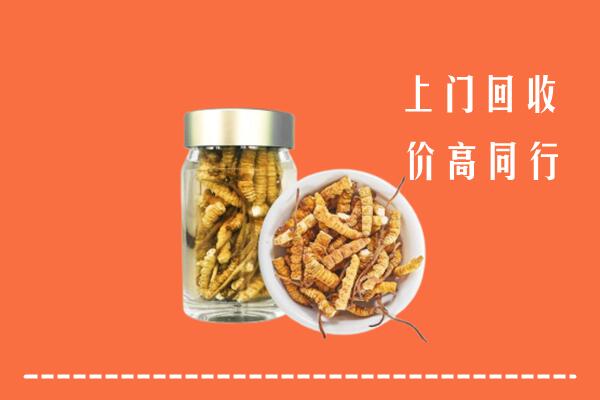 通化回收冬虫夏草